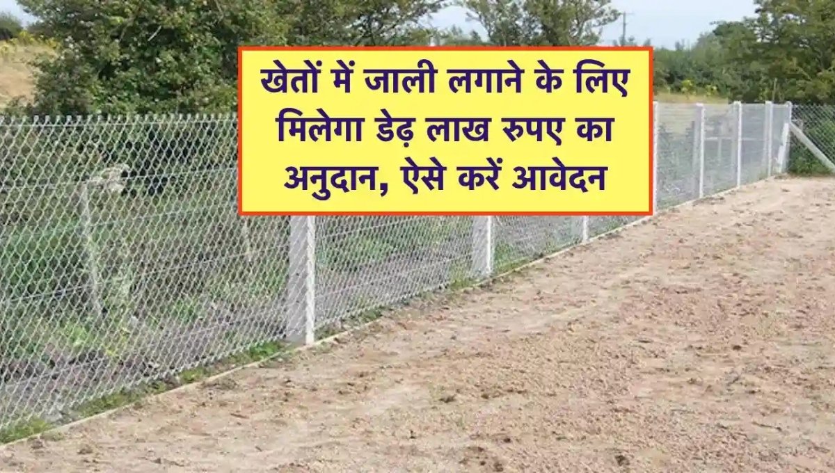 UP Tarbandi Yojana 2025: किसानों को मिलेगी 60% सब्सिडी, फसल रहेगी सुरक्षित