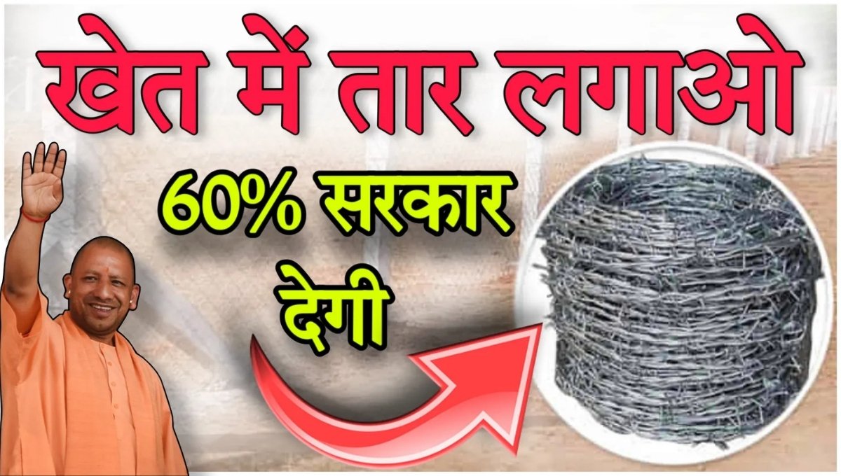UP Tarbandi Yojana 2025: किसानों को मिलेगी 60% सब्सिडी, फसल रहेगी सुरक्षित